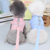 Pikapet Good Luck Pet Walking Leash and Harness